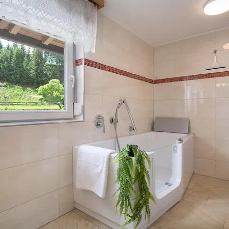 Apartment Haus Anna Kirchberg in Tirol